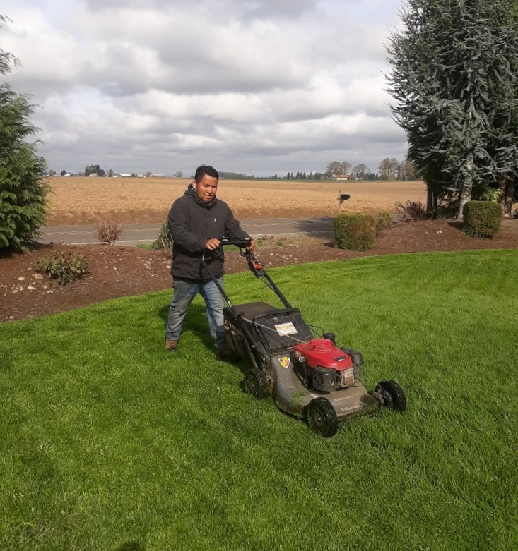 Israel Lopez mowing a lawn, walk-behind mower in hand